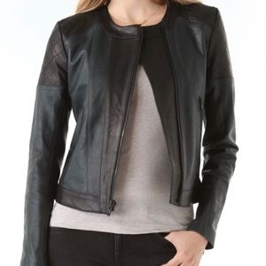 Theory Leather Jacket